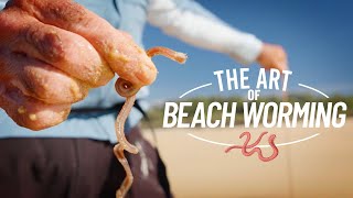 Shimano Beach  Breakdown Series: The Art of Beach Worming