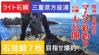 ［ライトイシダイ］爆釣編　ライト石鯛釣り　マムシ釣り伝統的釣法　石鯛釣り　三重県方座浦ネズミ