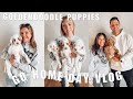 PUPPY GO HOME DAY VLOG | GOLDENDOODLES GO TO THEIR FOREVER HOME