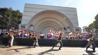 帯屋町筋  原宿表参道元氣祭スーパーよさこい2018