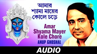 Amar Shyama Mayer Kole Chore | Nazrul Songs By Anup Ghoshal | Anup Ghoshal | Audio