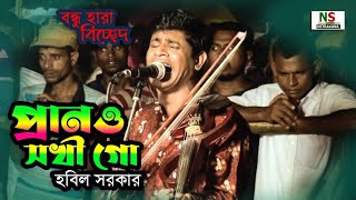 বন্ধু হারা বিচ্ছেদ গান-প্রানও সখি গো,হবিল সরকারের গান || Prano Sokhi Go || Hobil Sarkar