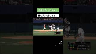 🥎日本体育大学　酒井投手🥎ビタビタアウトロー　男子ソフトボール　japan men's softball