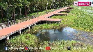 മുടക്കിയ കോടികൾ കായലിൽ ; ഹൗസ് ബോട്ട് കേറാതെ നാലുപങ്ക് ബോട്ട് ടർമിനൽ