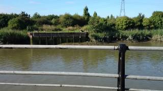 Fishing at Roding River near Barking Creek