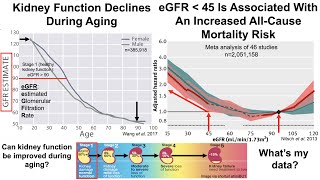 Kidney Function Declines During Aging-Can It Be Reversed?