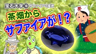 GSTV宝石大学 #10「サファイアの産地」茶畑からサファイアが！？