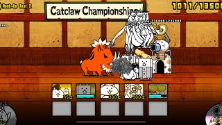 How to beat Catclaw Championships Rank 8 Test 2 Easily