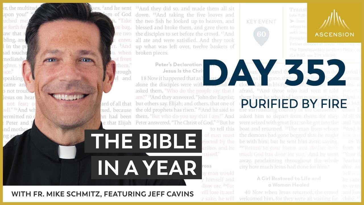 Day 352 Purified By Fire The Bible In A Year With Fr Mike Schmitz