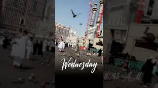 Masjid Haram 🕋. #shortsfeed #shortsvideo #shortsyoutube #shorts #reels #viral #mecca #travel #vlog