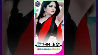 #viral_song लइका हई चमार के राखी दुनाली ।। Laika Hayi #chamar Ke Rakhi Dunali #chamar #song #shorts