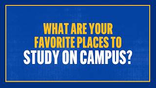 Where to study at Pitt?