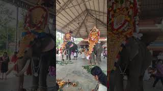 Chengannur Mahadeva Temple Thrippooth Aaratt day, Mahadevan, Devi