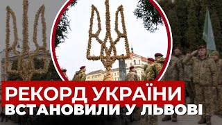 Українські військові не перестають дивувати: у Львові показали найбільший тризуб із дідухів