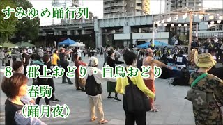 春駒　郡上おどり・白鳥おどり　2023年すみゆめ踊行列８　隅田川　森羅万象　墨に夢　隅田公園そよ風広場　踊月夜