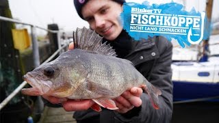 Kapitale Barsche an Hindernissen | Fischköppe räumen ab!