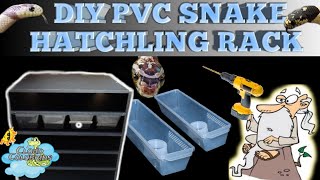 DIY PVC Snake Hatchling Rack.