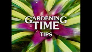 Gardening Time Tips. Bromeliads. 13th March 1992.  ITV Anglia.