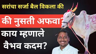 निंबाळकर सरांच्या सर्जा बैलाची खरच विक्री झाली आहे का? #bailgadisharyat