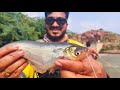 big wallago attu malli fish fight ഈ lure 🔥🔥ആണ് വാള ക് best കിടിലം video