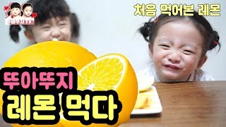 처음 먹어본 레몬은 과연 무슨맛일까? 쌍둥이들 못생김주의, 귀염주의 [뚜아뚜지TV]