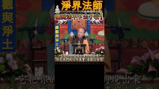 淨界法師》237.痛到活不下去了啦! ...的時候看看  #觀世音菩薩 #智慧 #佛教 #推薦