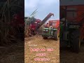 suger cane machine 8 hour 300 ton sugarcane cutting machine