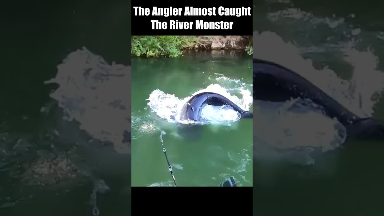 The Angler Almost Caught The River Monster Go It