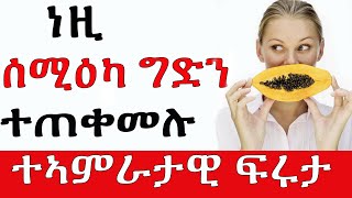 ኣገረምቲ ጥዕናዊ ጥቅምታት ፓፓዮ MTE MEDIA