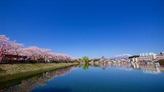 【4K】盛岡さくらまつり 高松の池