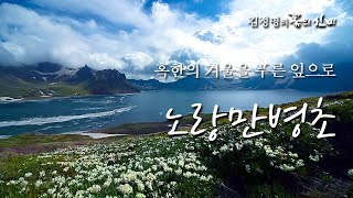 [야생화 이야기 5회] 혹한의 겨울을 푸른 잎으로 - 노랑만병초