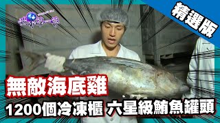 【突尼西亞】海上黑金無敵海底雞 六星級鮪魚罐頭工廠｜《世界第一等》681集精華版