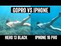 iPhone 16 Pro vs GoPro Hero 13 Black: Deep-Dive Tested!