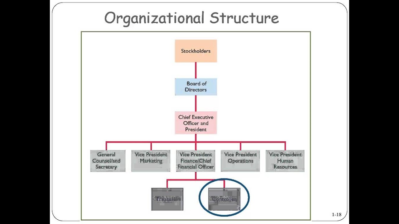 Organizational Structure Youtube