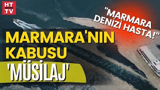 Marmara Denizi'nde müsilaj görülecek mi? Murat Kurum yanıtladı