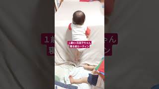 大運動会が行われている夜 このあとぐっすり眠ってくれました♪【双子育児】#1歳 #赤ちゃん #二卵性双生児 #twins #baby #shorts