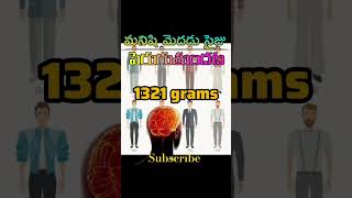 Do human brain is increasing I మనిషి మొదడు సైజ్ పెరుగుతుందా ? #brain #telugufacts #interestingfacts