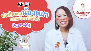 ท่าเดินของน้องหมาบอกอะไรเราได้บ้าง? Part#1 | ตอบปัญหามะหมา EP.15