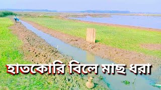 হাতকোরি বিলের মাছ ধরা #fishing #hakaluki #sylhet #bangladesh #Hakaluki 24