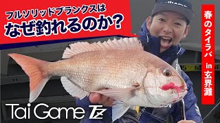 【春のタイラバ】フルソリッドブランクスが真鯛を捉える！【玄界灘】