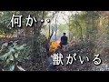 【移住07】初心者田舎暮らしの楽しい日常First time living in the countryside