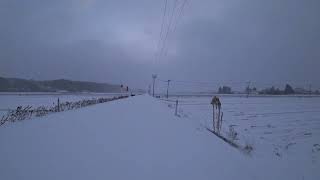 今日も雪かぁ～　「今日もコツコツ朝散歩。」【えびてつチャンネル】