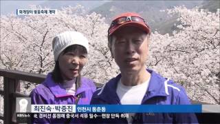 [주요 뉴스] KBS뉴스9 경남 - 벚꽃축제 개막.. 화개장터 새단장(2016.04.01.금)