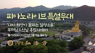 4부-피아노 라이브 특별무대 / 홍법사 부처님오신날