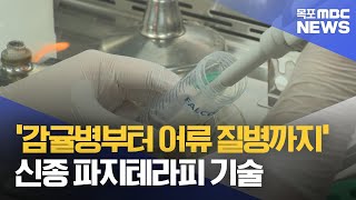 '감귤병부터 어류 질병까지'..바이러스로 감염병 막는 신기술 개발[목포MBC 뉴스데스]