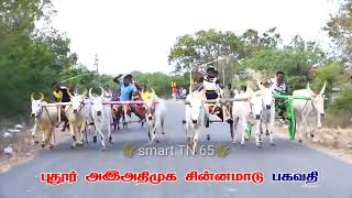 புதூர் சின்ன மாடு அனைத்து ஓட்டாளிகள் நெருப்பு ஓட்டு