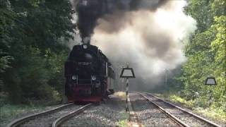 Der HSB - Traditionszug auf dem Weg zum Brocken, vom 04.08.2018 (Harze Schmalspurbahn, Dampflok)