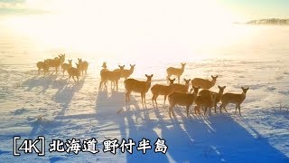 北海道 標津町、別海町 野付半島 Notsuke Peninsula, Hokkaido, Japan