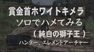 DDON攻略 | 賞金首ホワイトキメラ ハメてみる解説 ソロ攻略 ( 純白の獅子王) ‐ ドラゴンズドグマオンライン