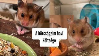 A hörcsögeim havi költsége🐹